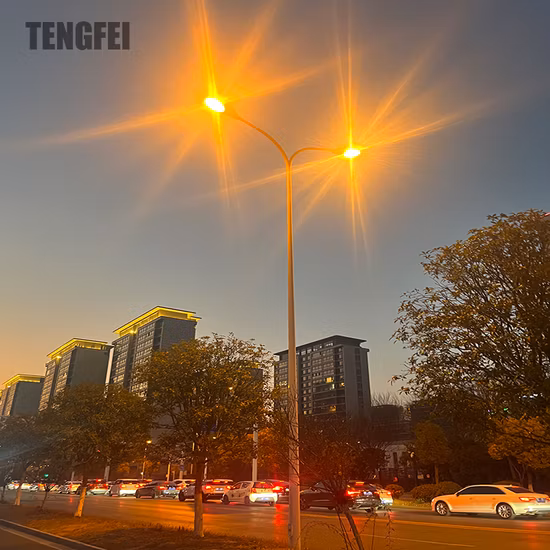 3m/4m/5m/6m/7m/8m/9m/10m/11m/12m Double-Arm Galvanized Conical/Octagonal Aluminum/Stainless Steel/Metal Solar Road/Street Lighting/Light Pole with Factory-Price