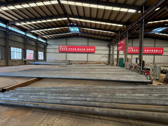 3m/4m/5m/6m/7m/8m/9m/10m/11m/12m Double-Arm Galvanized Conical/Octagonal Aluminum/Stainless Steel/Metal Solar Road/Street Lighting/Light Pole with Factory-Price