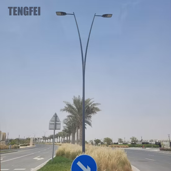 3m/4m/5m/6m/7m/8m/9m/10m/11m/12m Double-Arm Galvanized Conical/Octagonal Aluminum/Stainless Steel/Metal Solar Road/Street Lighting/Light Pole with Factory-Price